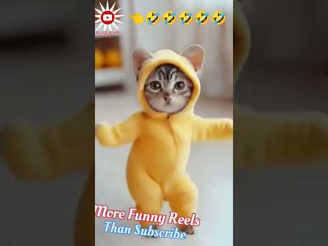 Top cat Mau Mau dance #comedy #viral #ai #dance #cat #maumau #billi #tom #dancing #tranding #funny
