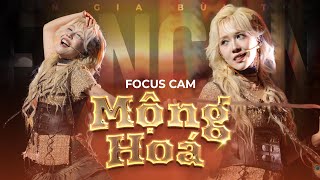 [FOCUS CAM] MỘNG HOÁ - HẬU HOÀNG | LAN GIA BÙI TỘC FANCON HANOI #hauhoang