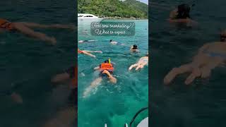 Download lagu First time snorkeling in Thailand 🤿🤩 #travel #travelshorts #wanderlust mp3 Download lagu First time snorkeling in Thailand 🤿🤩 #travel #travelshorts #wanderlust mp3