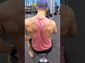 back day cable rows