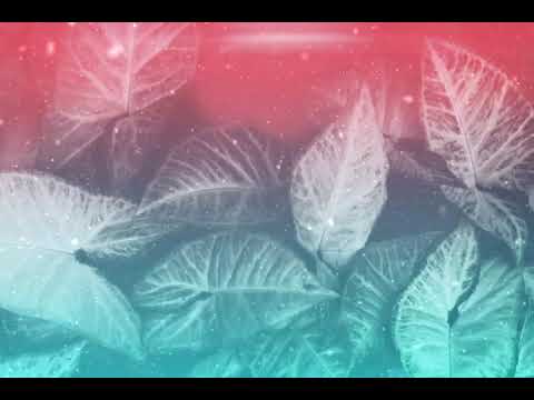 Ānna Danielyan - Յարը մարդու յարա կուտա