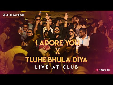 Adore You x Tujhe Bhula Diya Live Cut From Club | Vishal Shekhar | DJ Ganesh | Hugel