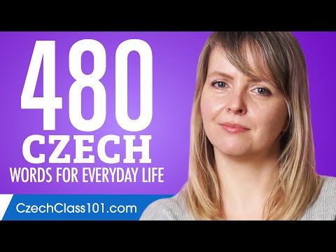 480 Czech Words for Everyday Life - Basic Vocabulary #24