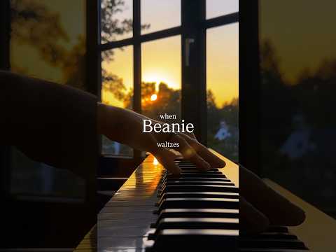 Beanie Waltz 🎶💆‍♂️ #piano #music #beanie #waltz #sunset #calm