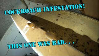 Getting rid of a bad cockroach infestation.