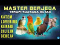 5 MASTERAN BERJEDA Kapas Tembak LOVEBIRD KENARI CILILIN GEREJA