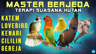 Download lagu 5 MASTERAN BERJEDA Kapas Tembak LOVEBIRD KENARI CILILIN GEREJA mp3