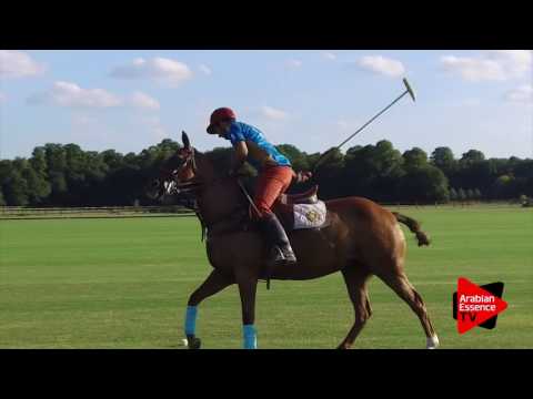 Goodmorning Chantilly