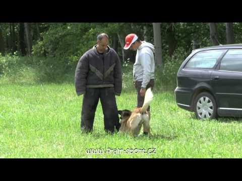 Wamp Malidaj - "O pohár města Horní Bříza"- obrana - 1. místo