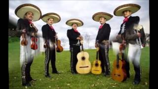 que bonita es esta vida con mariachi.