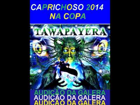 CAPRICHOSO CD DEMO 2014   GALERA   O RITMO É DE BOI
