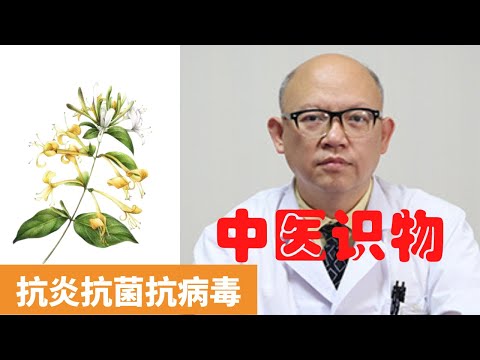 金銀花功效