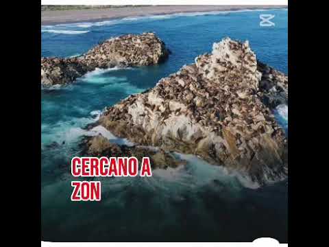 WhatsApp Video 2026 07 12 at 14 31 09 1