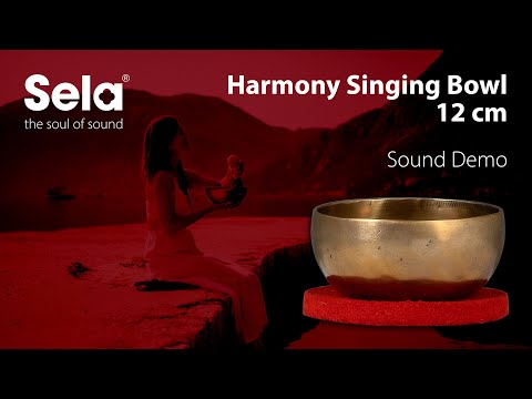 Демонстрация звучания поющей чаши Sela SE 260