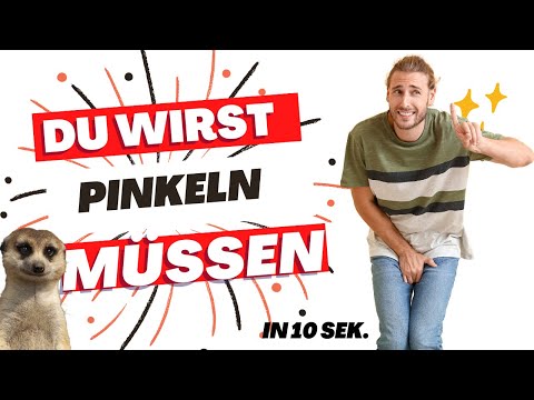 Dieses Video bringt dich zum Pinkeln! 💦