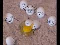 6 Little Eggs On The Run Original Song