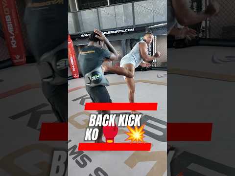 BACK KICK KO 💥Feint the hook, catch him. 🥋#MMA #MuayThai #Kickboxing #Striking #Knockout