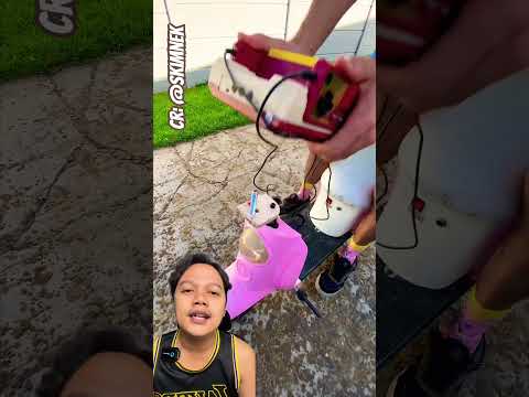 GANTI STIK KEYBOARD DENGAN YANG LAIN⁉️ Cr: @s@skimnek