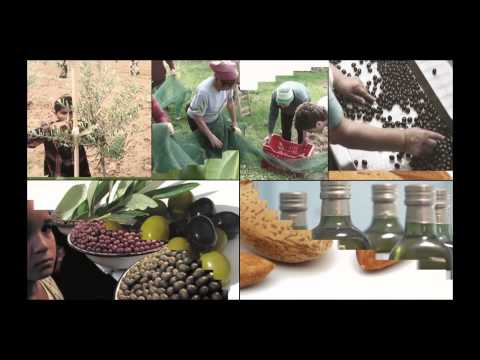 IPMA Achievement Award Finalist 2015