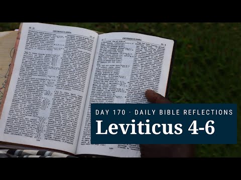DAY 170 | Leviticus 4-6 | The Bible in A Year