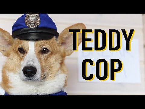 TEDDY THIEVES - Topi the Corgi