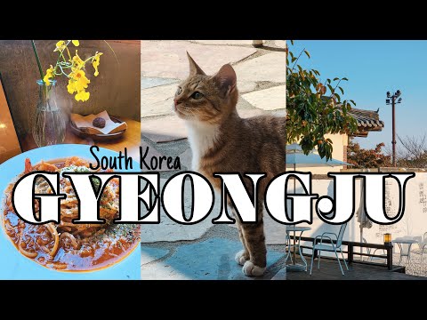 Alguns dias em GYEONGJU | Coreia do Sul 🇰🇷