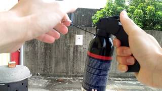 [問卦] 隨身帶鎮暴噴劑？