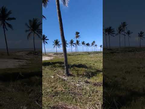 praia dos corais ,Alcobaça bahia!!