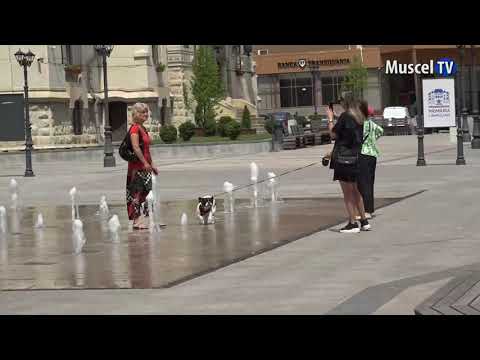 Jurnal MUSCEL TV 21.07.2022 Cod galben de caniculă la Câmpulung