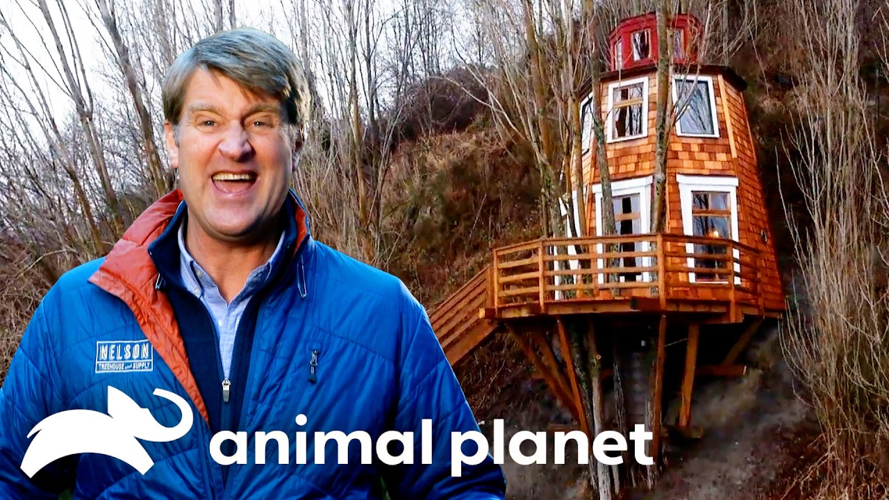 The Perfect Home Away from Home | Treehouse Masters | Animal Planet