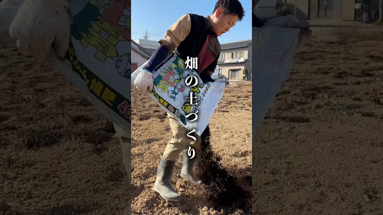 農業は"土づくり"がはじめの一歩 #shorts