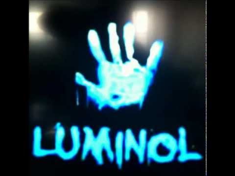 Luminol-Memories(2013)