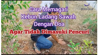 Download lagu Cara Agar Maling/Pencuri Tidak Berani Masuk Kebun Ladang Sawah Kita mp3 Download lagu Cara Agar Maling/Pencuri Tidak Berani Masuk Kebun Ladang Sawah Kita mp3