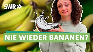 Superfood Banane: Können wir die Südfrucht noch retten? I Ökochecker SWR