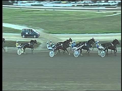 Trotto 17/09/2015 - 8° corsa