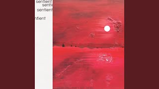 Mount Mural - Sentient video