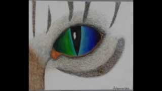 ARTE E GATTI A ROVERETO  -  6 GIUGNO 2015