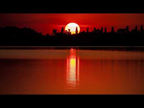 12 Hours of Relaxation Awaits : Listen to the Campfire & Loon Sounds Now!