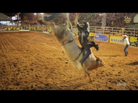 SHOT (Tercio Miranda Company) - Best Bull of Ribeirão do Sul 2019