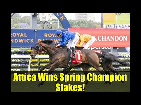 Attica Wins Spring Champion Stakes! | Race Highlights & Analysis