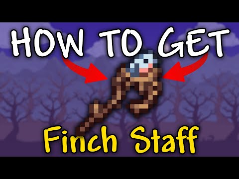 Finch Staff Terraria