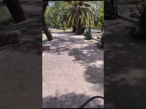 Este lugar, si que es hermosísimo ⛵🦢🦜🐦 Parque sarmiento 🎢🎪🚴 Córdoba capital 🌇🇦🇷 Parte 2️⃣3️⃣