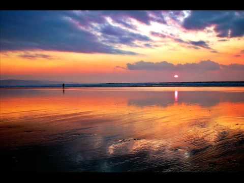 Camisra vs Pulse Lover