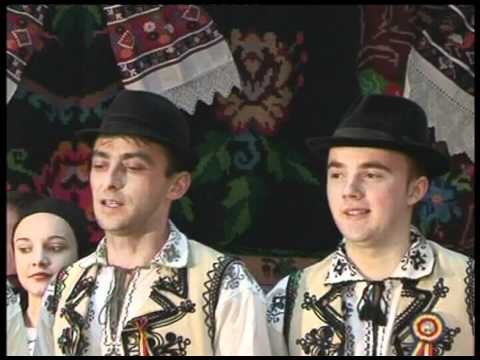 Ansamblul Ritmuri Zarandene Hartagani-De ce mandra n-ai venit