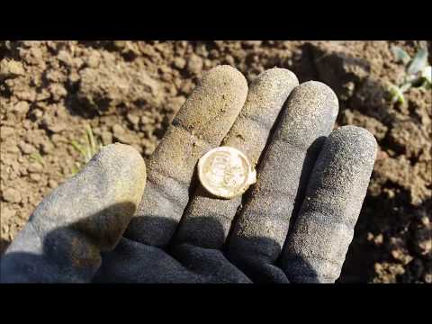 Der Bayern Sondler Teil 44 - Sondel-Spezial #13 auf Acker, Wiese und Moor mit Hammer Funden