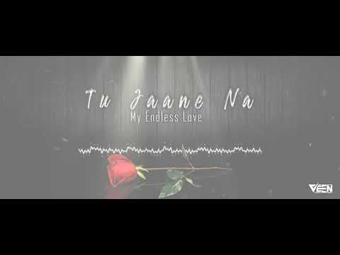 Tu Jaane Na X Special X Remix X Veen