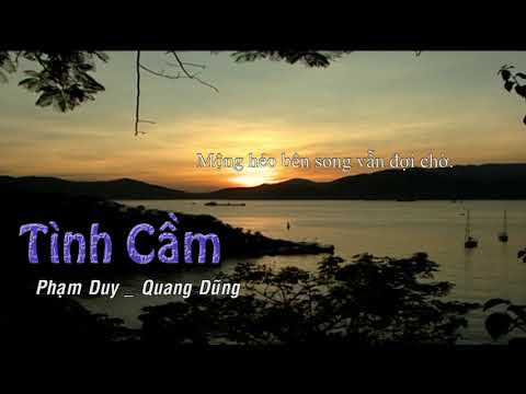 Tình Cầm | Phạm Duy & Hoàng Cầm | Quang Dũng