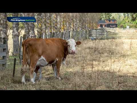 83 Boundary Road, Upper Plain, Masterton, 2 Kuwarto, 1 Banyo, Lifestyle Property