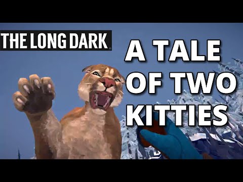 A Tale of Two Kitties: A Video Essay on TLD's Cougar