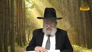 דף היומי בחצי שעה – סנהדרין דף ז'
